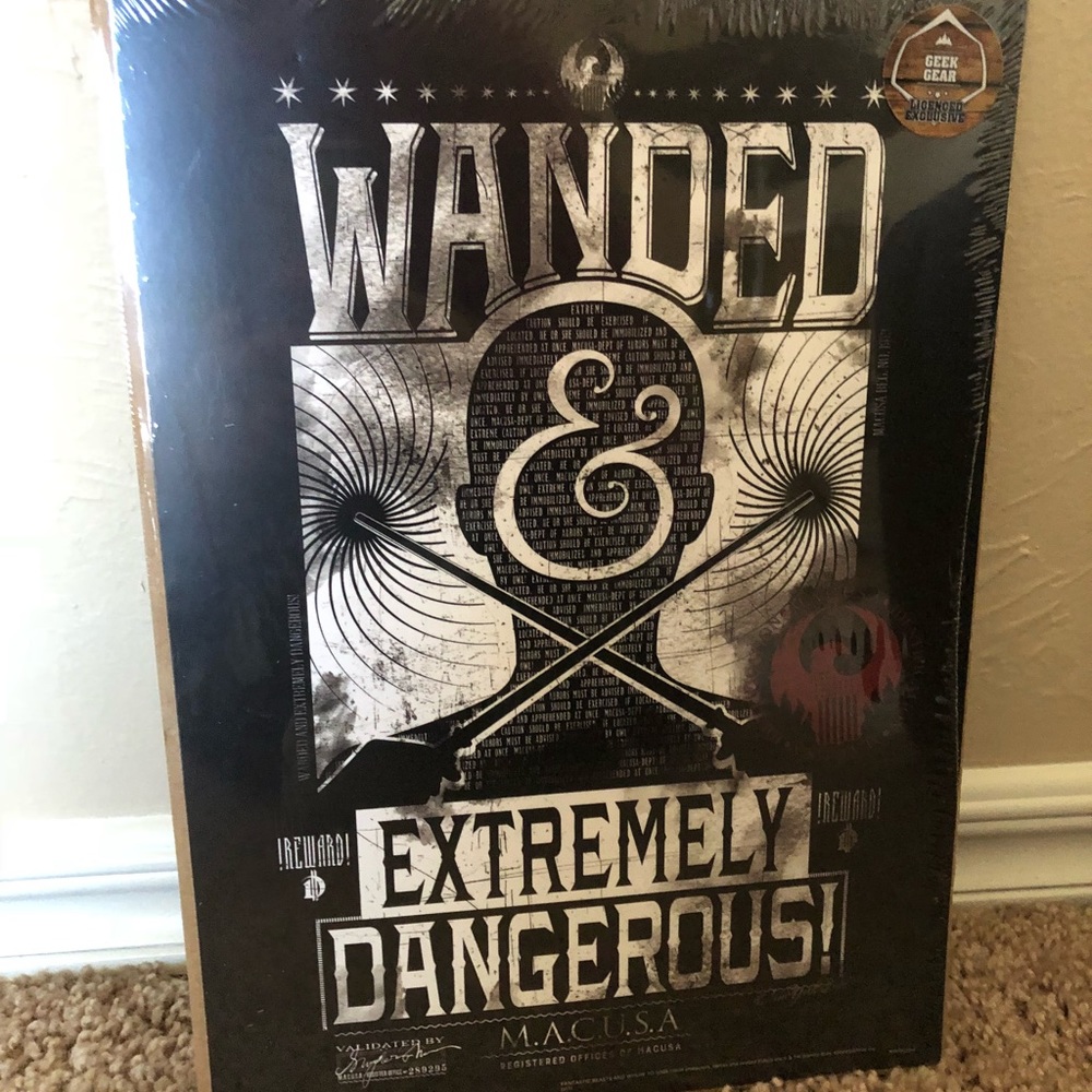 Harry Potter / Fantastic Beast Print